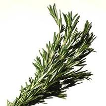 ROSEMARY GROWER BUNCH 