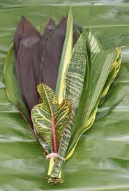 TROPICAL FOLIAGE BQ GROWER BUNCH 